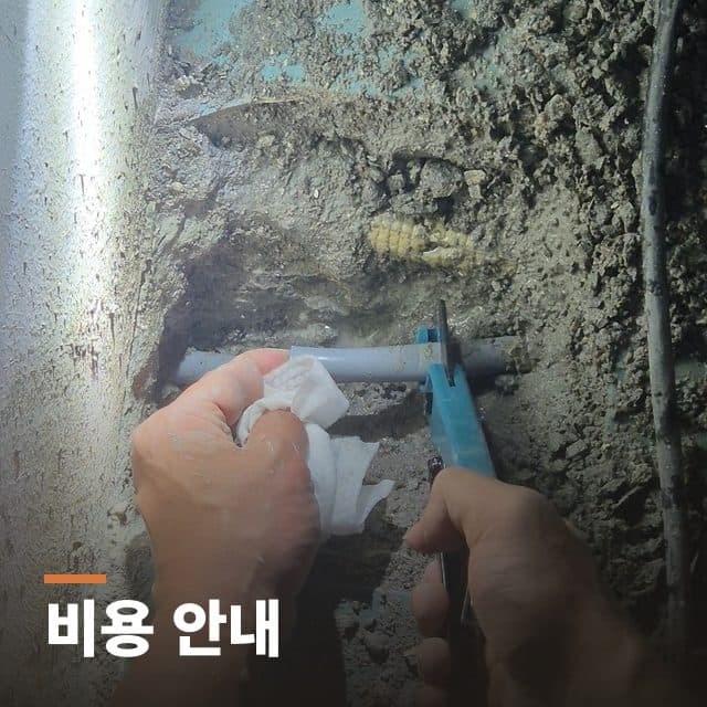 비용 안내